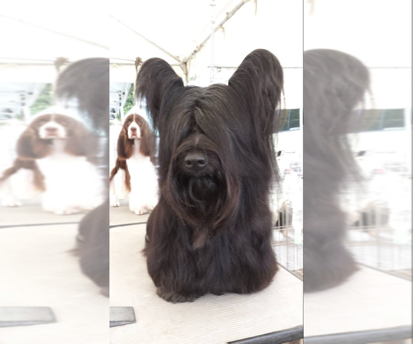 Medium Photo #2  Breeder Profile in LAKESIDE, CA, USA
