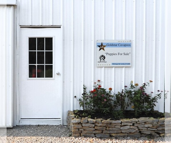 Medium Photo #1  Breeder Profile in CARLISLE, KY, USA