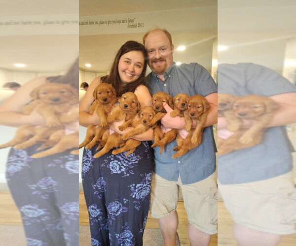 Medium Photo #1  Breeder Profile in NEW ALEXANDRIA, PA, USA