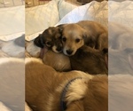 Small #17 Breeder Profile image