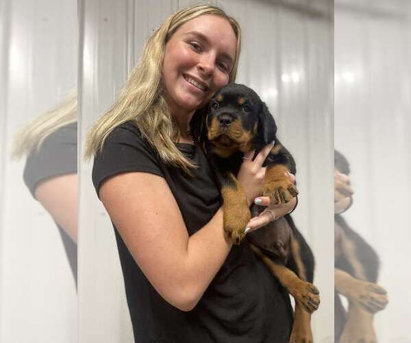 Medium Photo #5  Breeder Profile in BONAPARTE, IA, USA