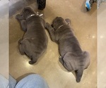 Small #7 Breeder Profile image