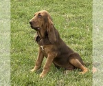 Small #3 Breeder Profile image