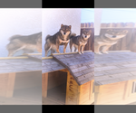 Small #10 Breeder Profile image