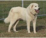 Small #3 Breeder Profile image