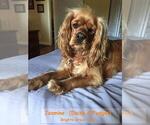 Small #56 Breeder Profile image