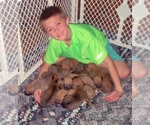 Small #4 Breeder Profile image