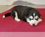 Small #3 Breeder Profile image