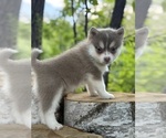 Small #49 Breeder Profile image
