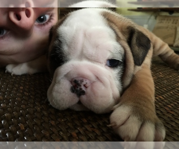 Medium Photo #1  Breeder Profile in BISMARCK, ND, USA