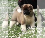Small #6 Breeder Profile image