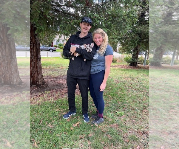 Medium Photo #3  Breeder Profile in SACRAMENTO, CA, USA