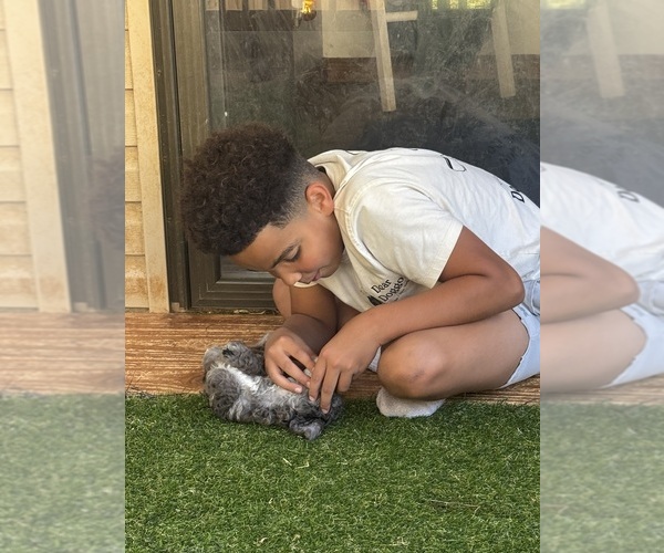 Medium Photo #1  Breeder Profile in INMAN, SC, USA