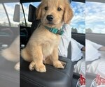 Small #31 Breeder Profile image