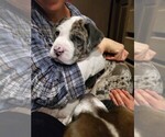 Small #5 Breeder Profile image