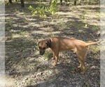 Small #3 Breeder Profile image