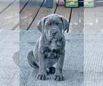 Small #25 Breeder Profile image