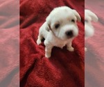 Small #65 Breeder Profile image