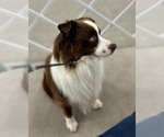 Small #2 Breeder Profile image