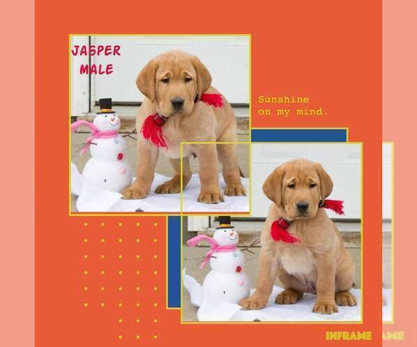 Medium Photo #1  Breeder Profile in HOT SPRINGS, SD, USA