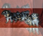Small #291 Breeder Profile image