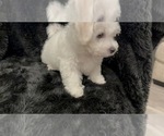 Small #5 Breeder Profile image