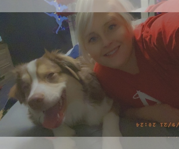 Medium Photo #1  Breeder Profile in RAINELLE, WV, USA