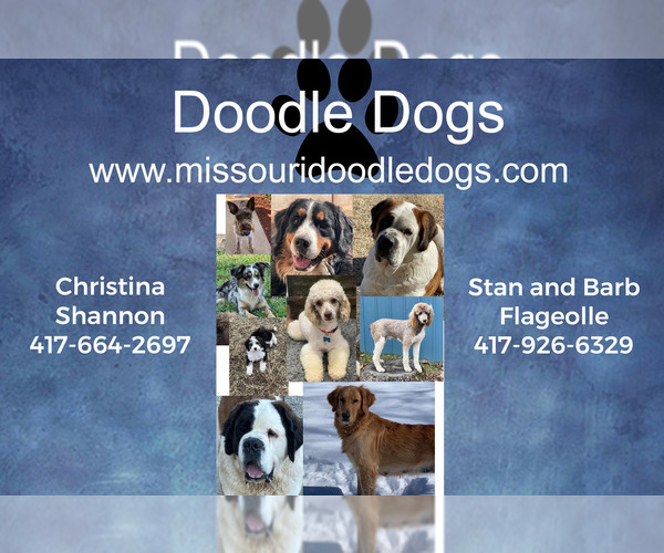 Medium Photo #1  Breeder Profile in LEBANON, MO, USA