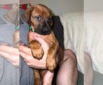 Small #47 Breeder Profile image