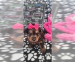 Small #245 Breeder Profile image