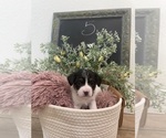 Small #10 Breeder Profile image
