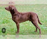 Small #6 Breeder Profile image