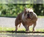 Small #3 Breeder Profile image