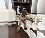 Small #23 Breeder Profile image