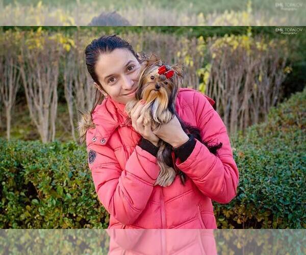 Medium Photo #22  Breeder Profile in SCHAUMBURG, IL, USA