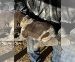 Small #10 Breeder Profile image