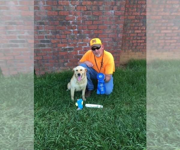 Medium Photo #1  Breeder Profile in STATESVILLE, NC, USA