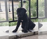 Small #4 Breeder Profile image