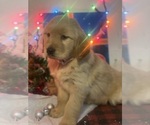 Small #2 Breeder Profile image