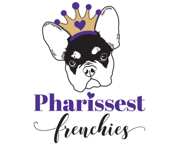 Medium Photo #1  Breeder Profile in JUSTIN, TX, USA