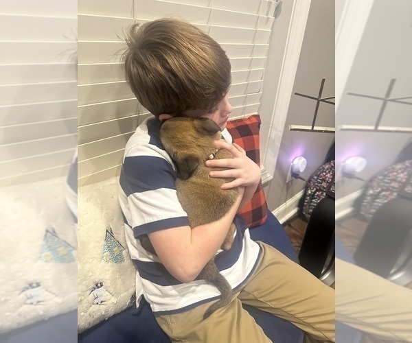 Medium Photo #8  Breeder Profile in ATHENS, AL, USA