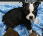 Small #4 Breeder Profile image