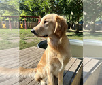 Small #6 Breeder Profile image