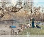 Small #1 Breeder Profile image