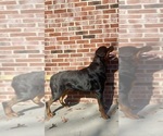 Small #1 Breeder Profile image