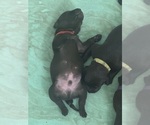 Small #23 Breeder Profile image