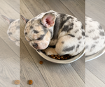 Small #5 Breeder Profile image