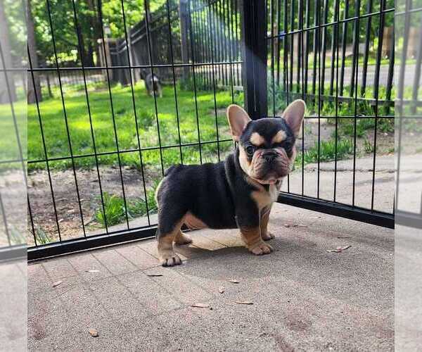 Medium Photo #1  Breeder Profile in NORTH BRANCH, MN, USA