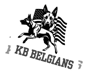 Belgian Malinois Dog Breeder near LOCKRIDGE, IA, USA