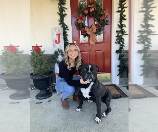 Medium Photo #53  Breeder Profile in COLUMBIA, KY, USA